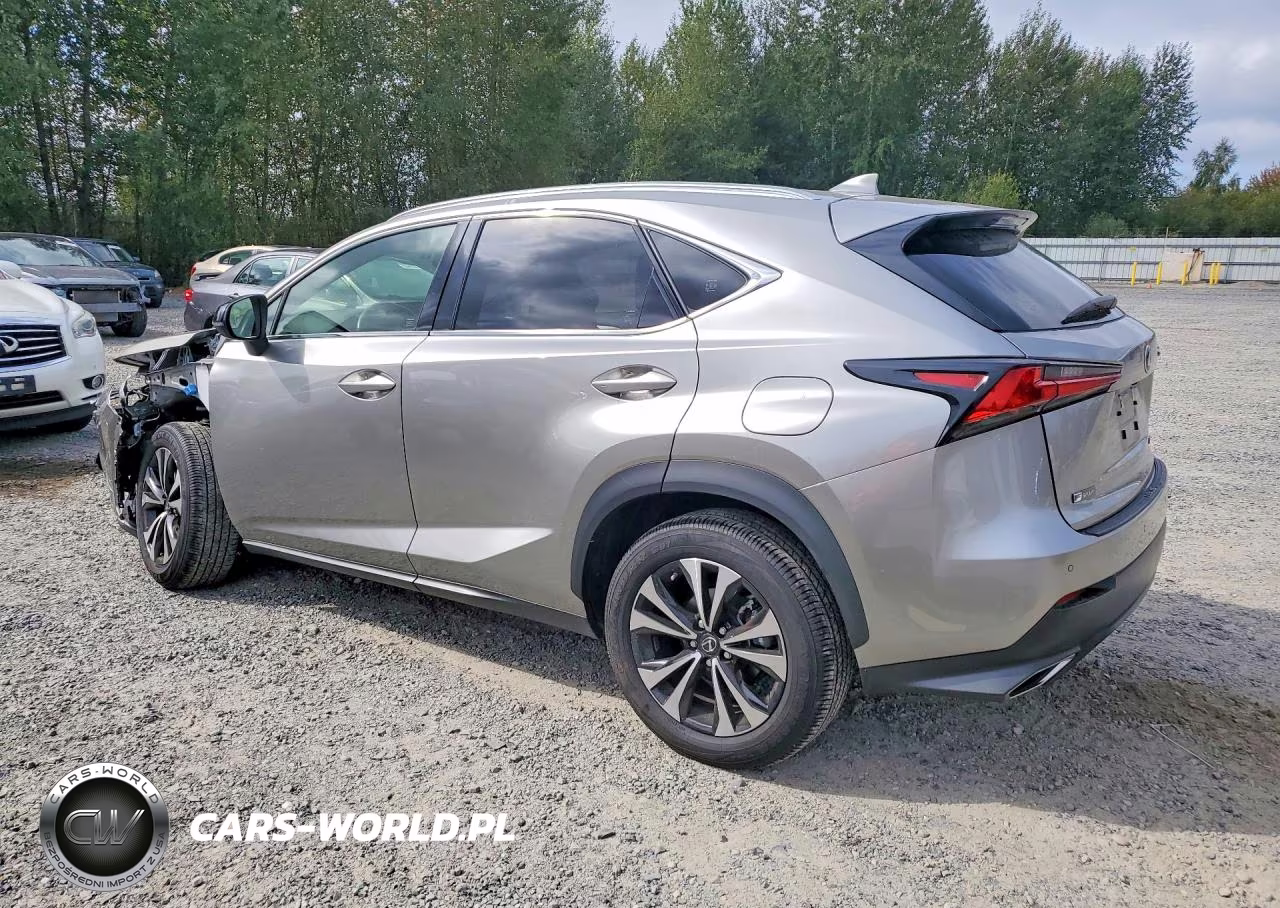 2019 Lexus Nx 300 F Sport VIN:JTJBARBZ0K2216960 - 2