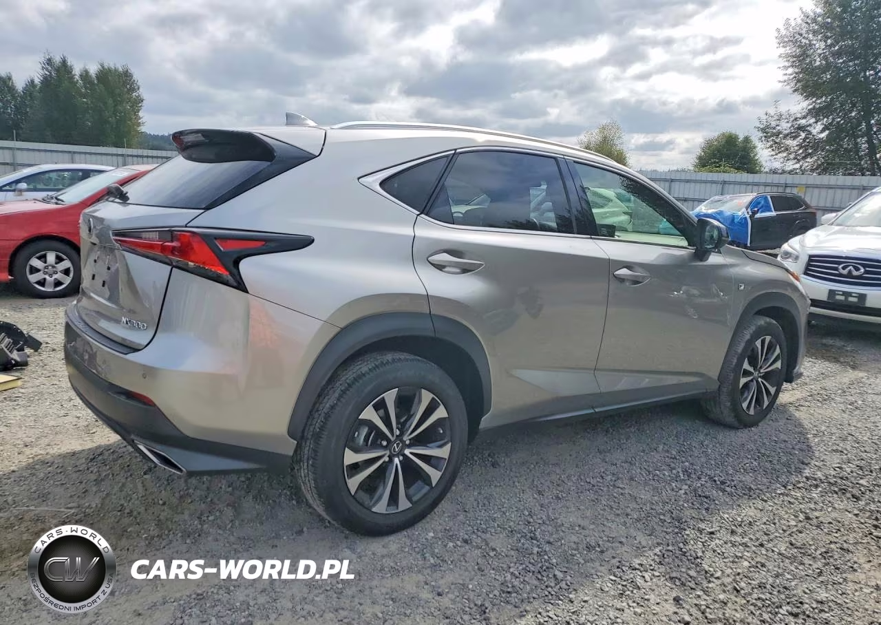 2019 Lexus Nx 300 F Sport VIN:JTJBARBZ0K2216960 - 3