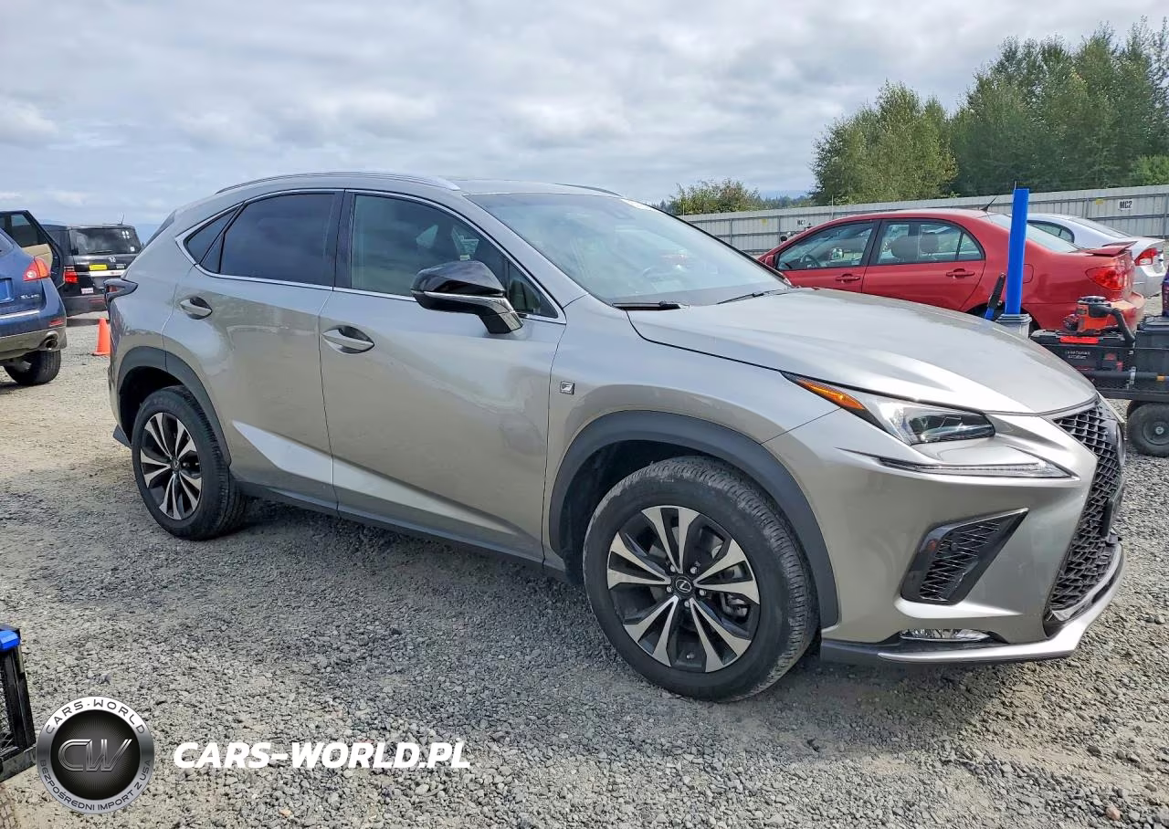 2019 Lexus Nx 300 F Sport VIN:JTJBARBZ0K2216960 - 4