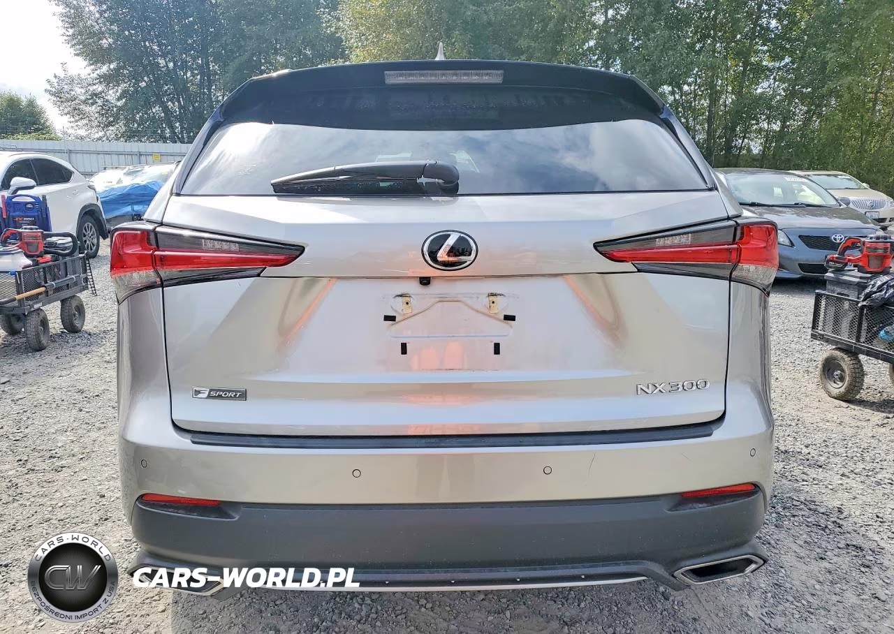 2019 Lexus Nx 300 F Sport VIN:JTJBARBZ0K2216960 - 6
