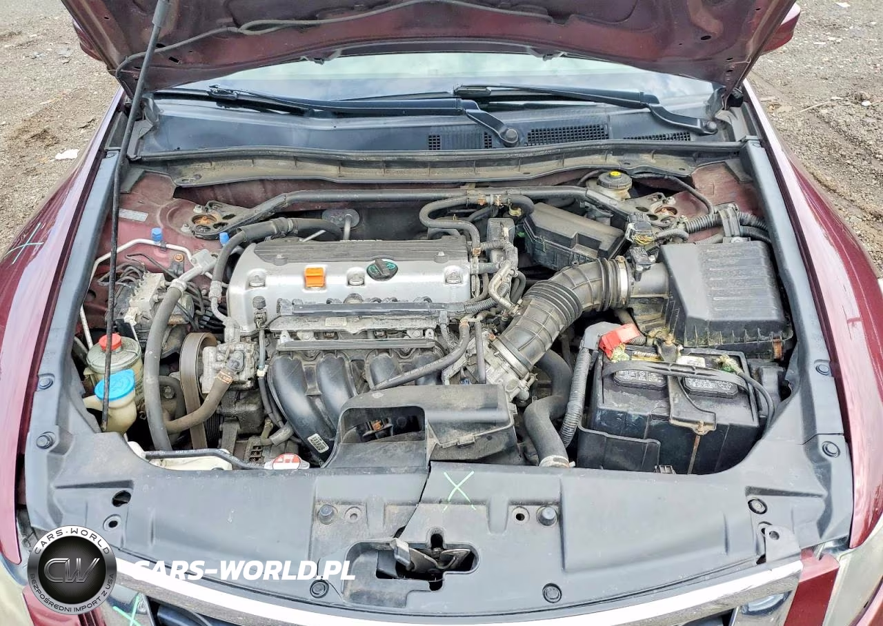 2010 Honda Accord Exl VIN:1HGCP2F86AA161130 - 11
