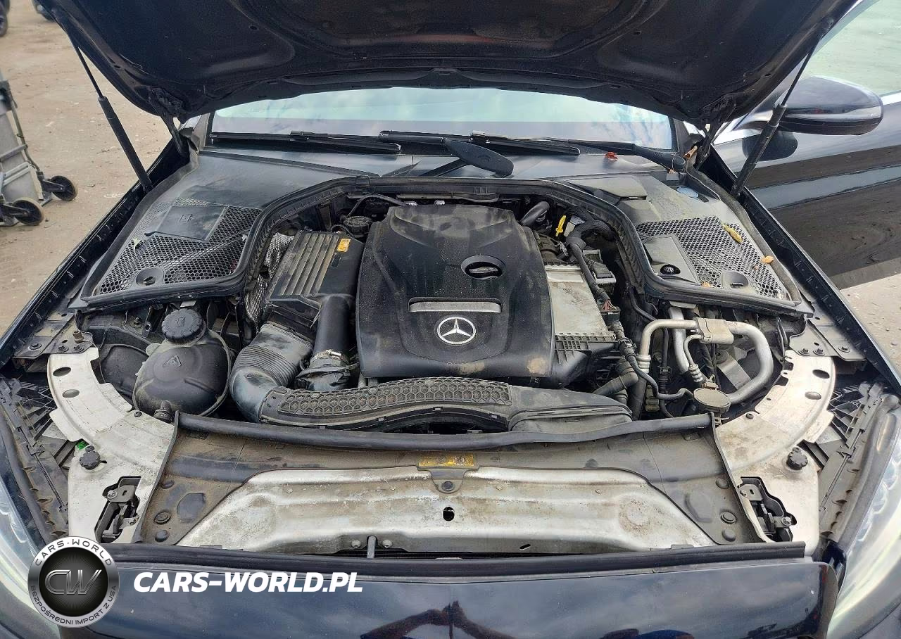 2017 Mercedes-Benz C 300 4Matic VIN:55SWF4KB1HU198260 - 11
