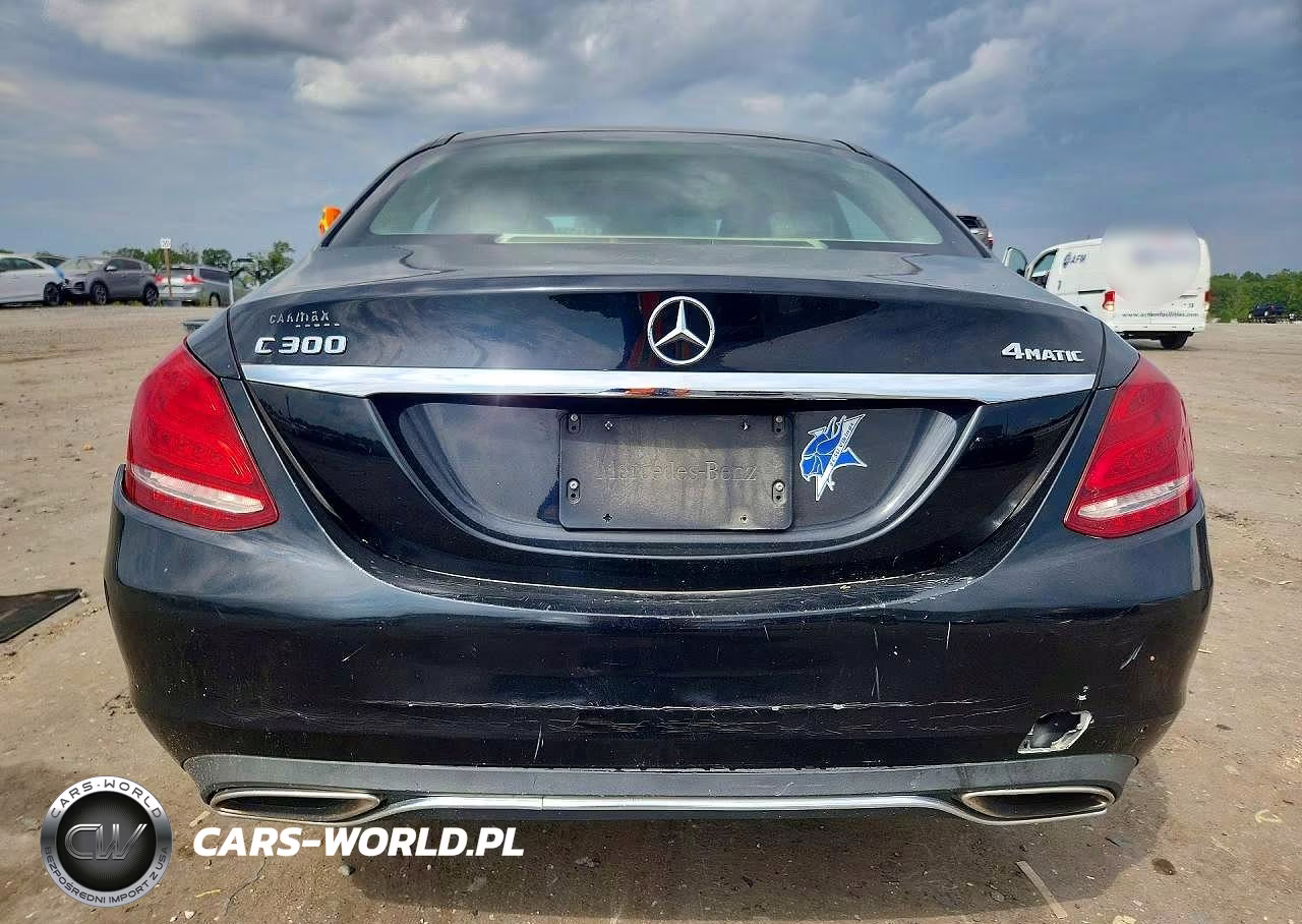 2017 Mercedes-Benz C 300 4Matic VIN:55SWF4KB1HU198260 - 6
