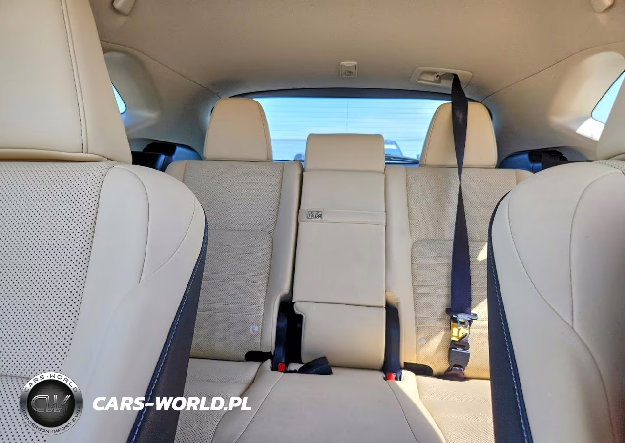 2019 Lexus Nx 300H VIN:JTJBJRBZ9K2124469 - 10