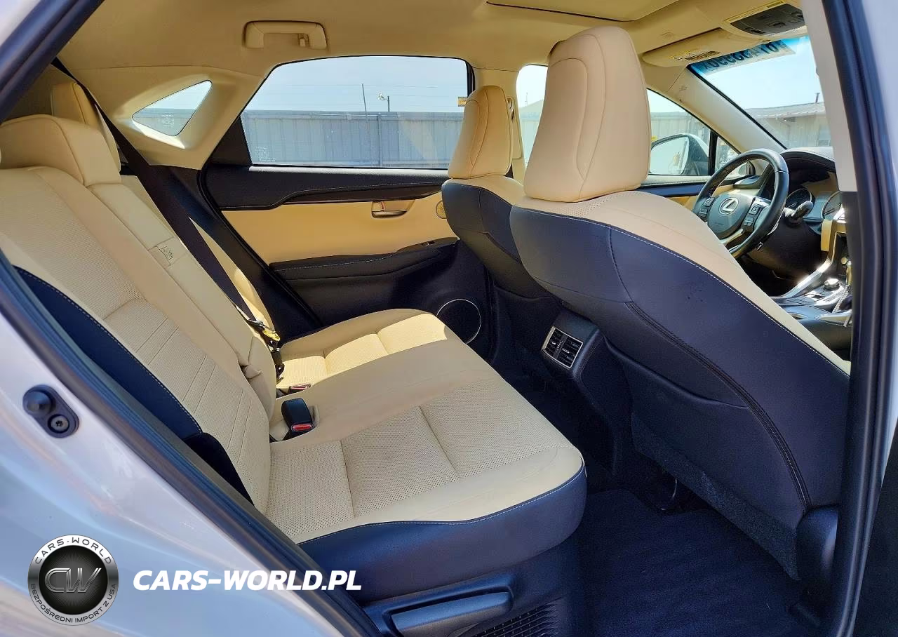2019 Lexus Nx 300H VIN:JTJBJRBZ9K2124469 - 11
