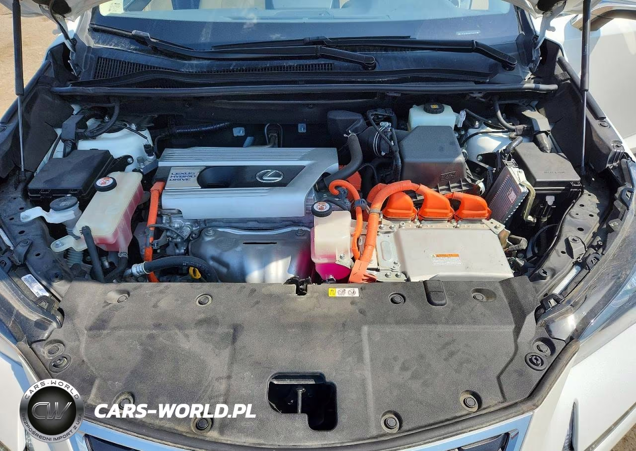 2019 Lexus Nx 300H VIN:JTJBJRBZ9K2124469 - 12