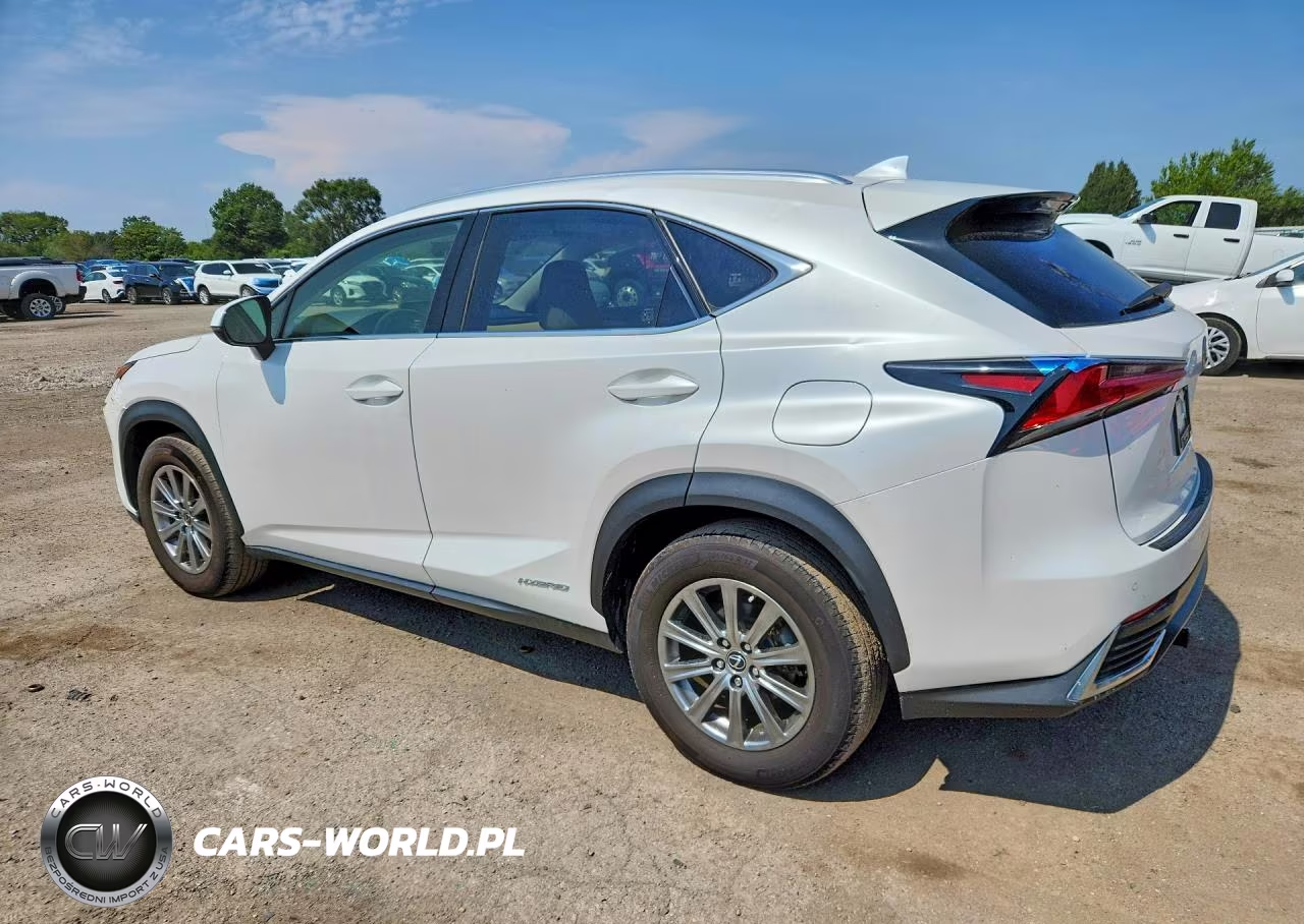2019 Lexus Nx 300H VIN:JTJBJRBZ9K2124469 - 2