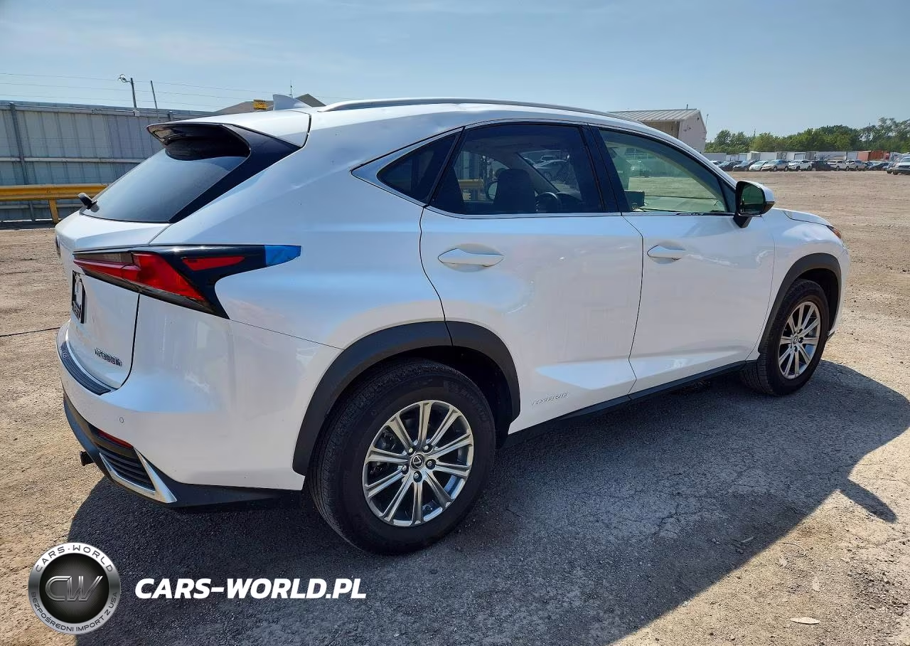 2019 Lexus Nx 300H VIN:JTJBJRBZ9K2124469 - 3