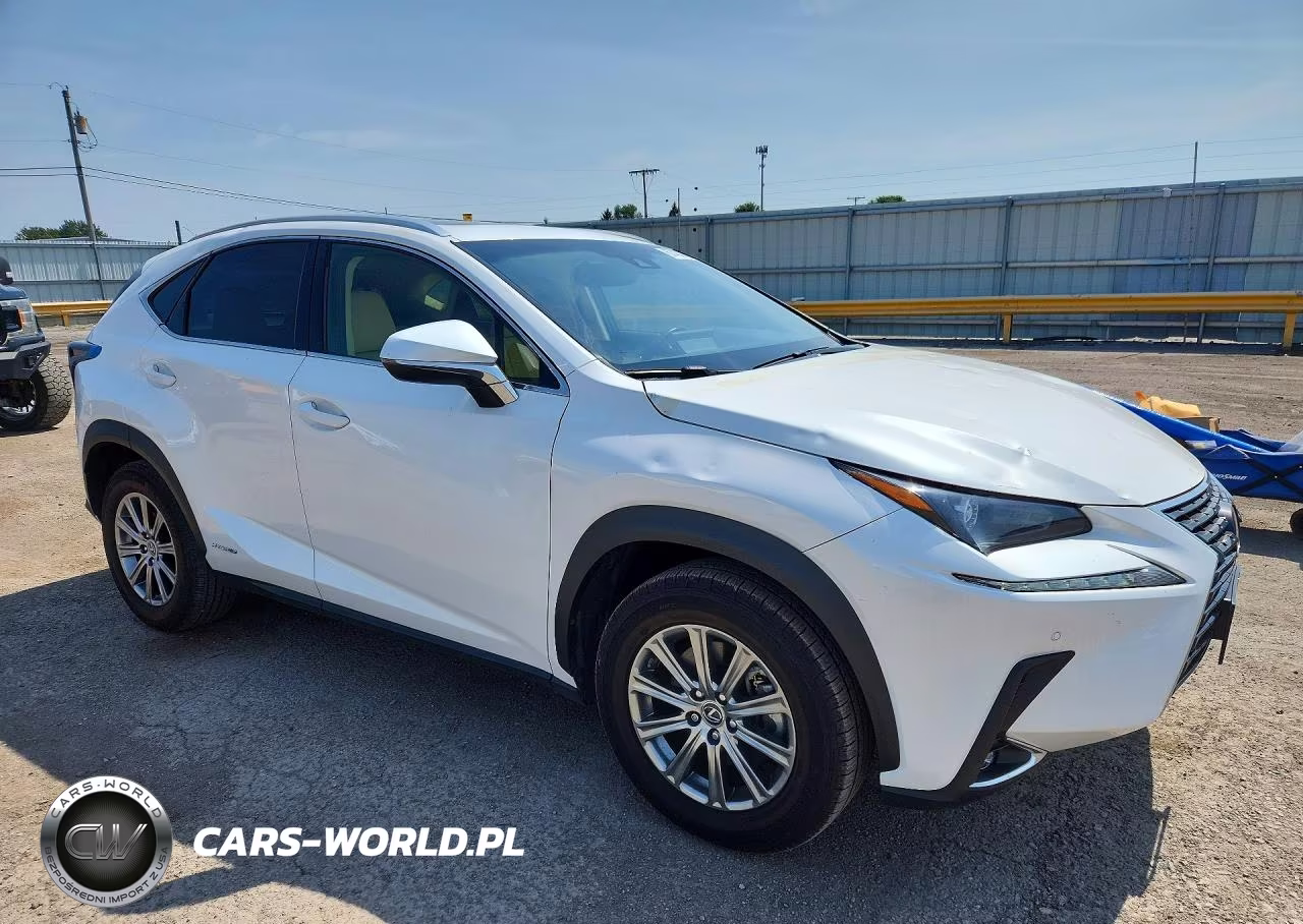 2019 Lexus Nx 300H VIN:JTJBJRBZ9K2124469 - 4