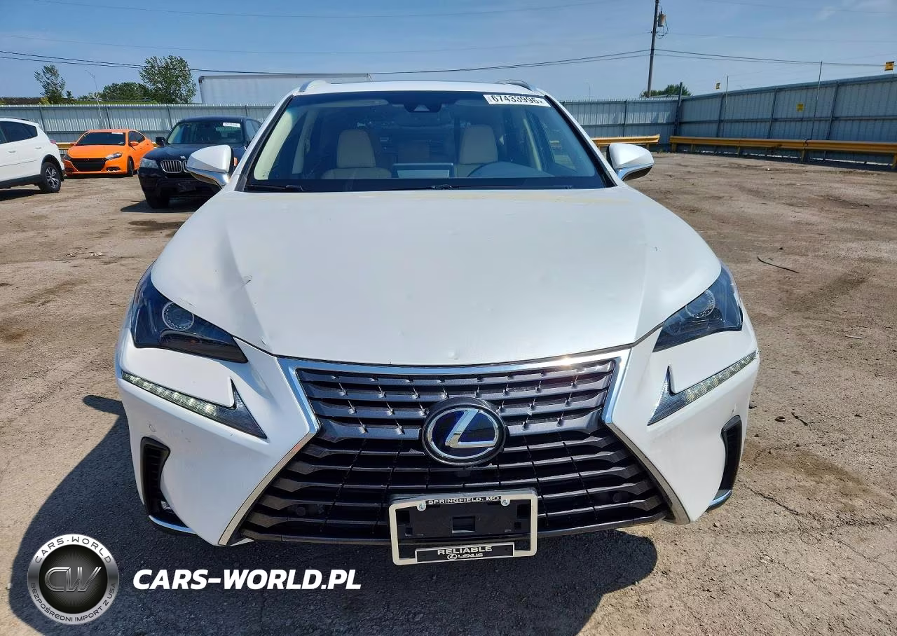 2019 Lexus Nx 300H VIN:JTJBJRBZ9K2124469 - 5