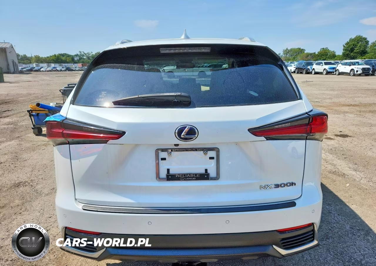 2019 Lexus Nx 300H VIN:JTJBJRBZ9K2124469 - 6