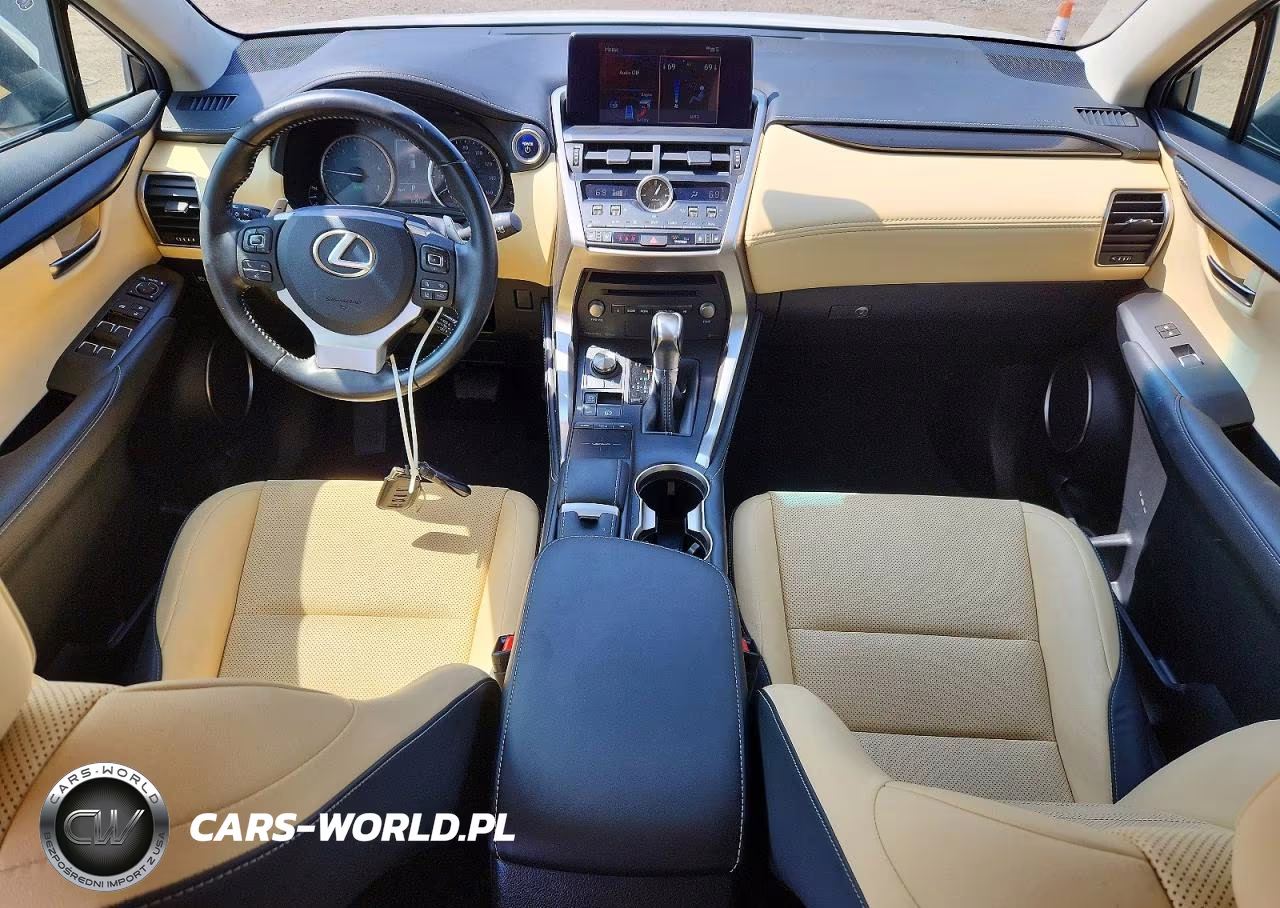 2019 Lexus Nx 300H VIN:JTJBJRBZ9K2124469 - 8