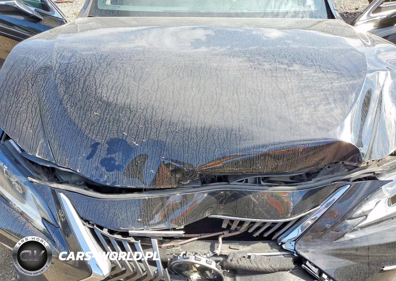 2019 Lexus Es 350 VIN:58ABZ1B14KU045551 - 11