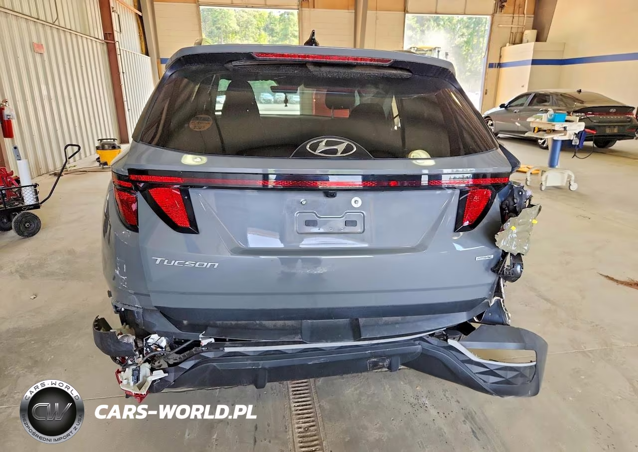 2024 Hyundai Tucson Sel VIN:5NMJBCDEXRH296857 - 6