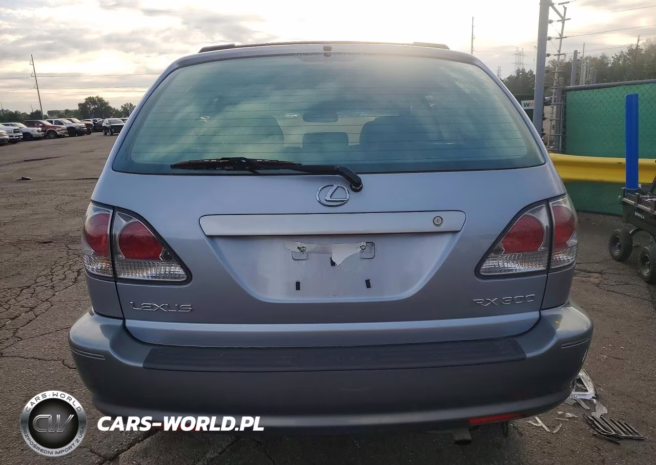 2003 Lexus Rx 300 VIN:JTJGF10U330164138 - 6