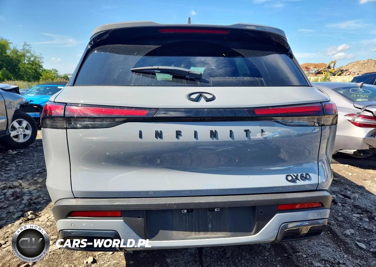 2025 Infiniti Qx60 Luxe VIN:5N1AL1FS0SC348369 - 6