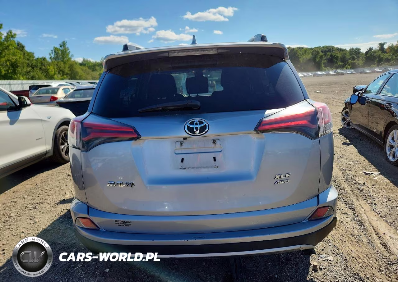 2017 Toyota Rav4 Xle VIN:2T3RFREV5HW638718 - 6