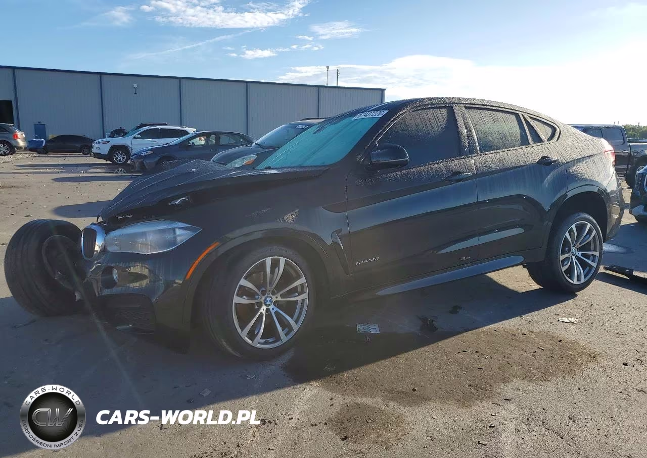 2015 BMW X6 Sdrive35I VIN:5UXKU0C58F0F91905 - 1