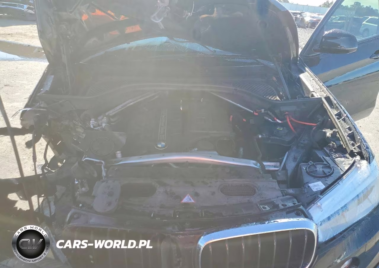 2015 BMW X6 Sdrive35I VIN:5UXKU0C58F0F91905 - 12