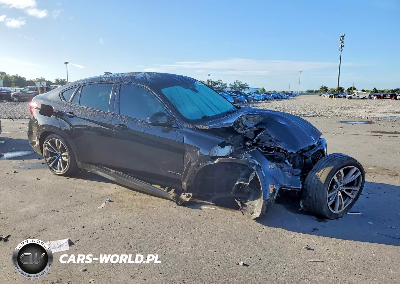 2015 BMW X6 Sdrive35I VIN:5UXKU0C58F0F91905 - 4