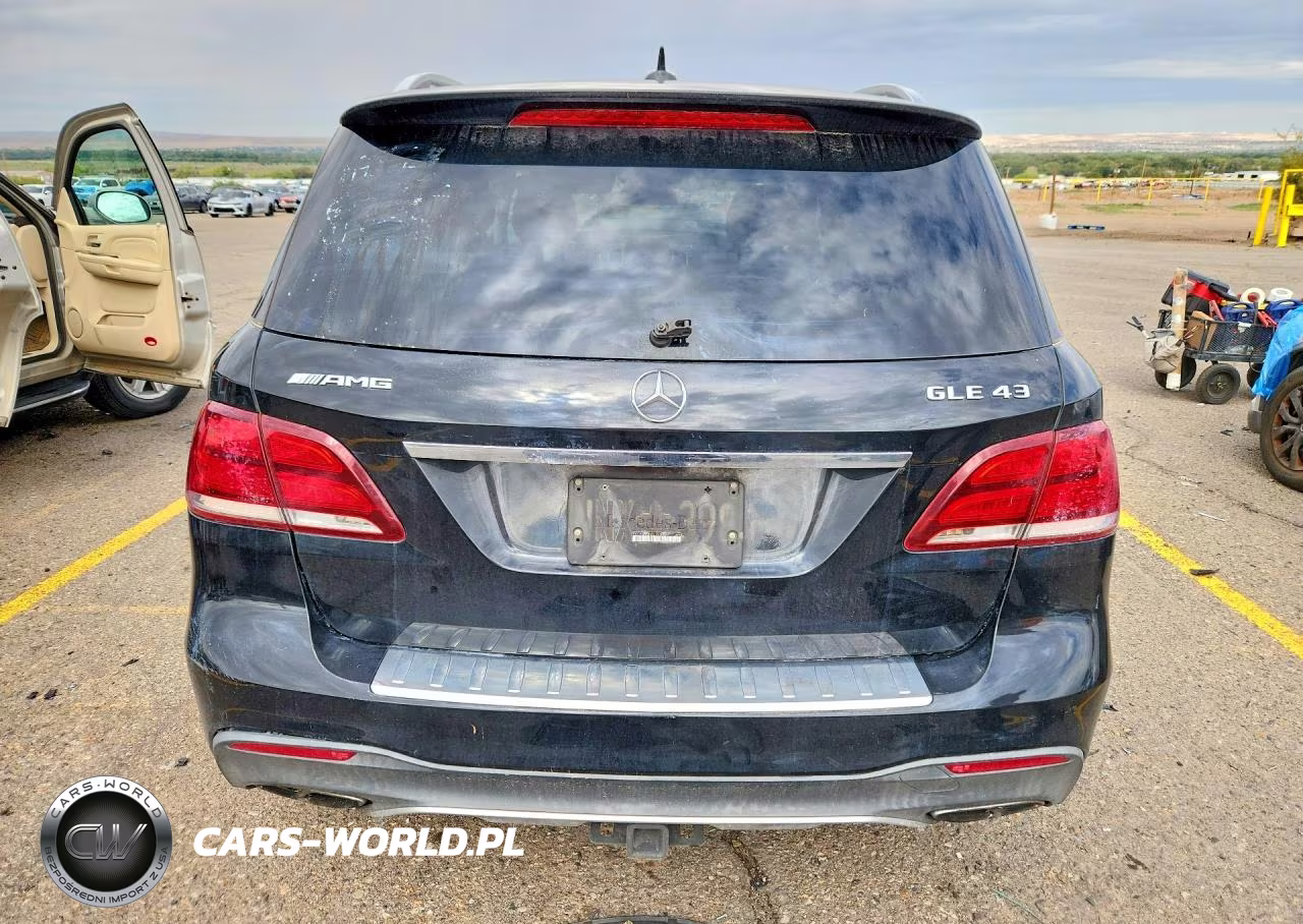 2017 Mercedes-Benz Gle 43 Amg VIN:4JGDA6EB9HA915037 - 6