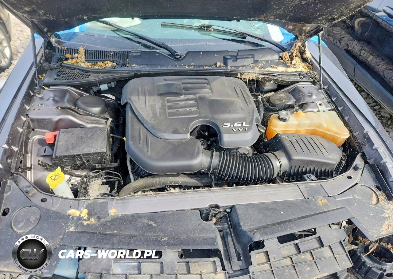2021 Dodge Challenger Sxt VIN:2C3CDZAG7MH534524 - 11