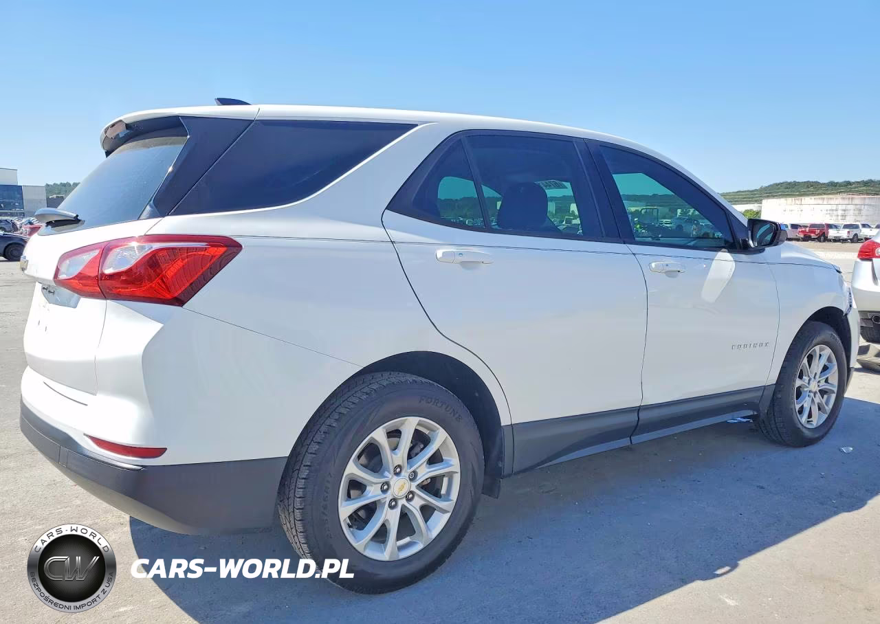 2019 Chevrolet Equinox Ls VIN:2GNAXHEV5K6265162 - 3
