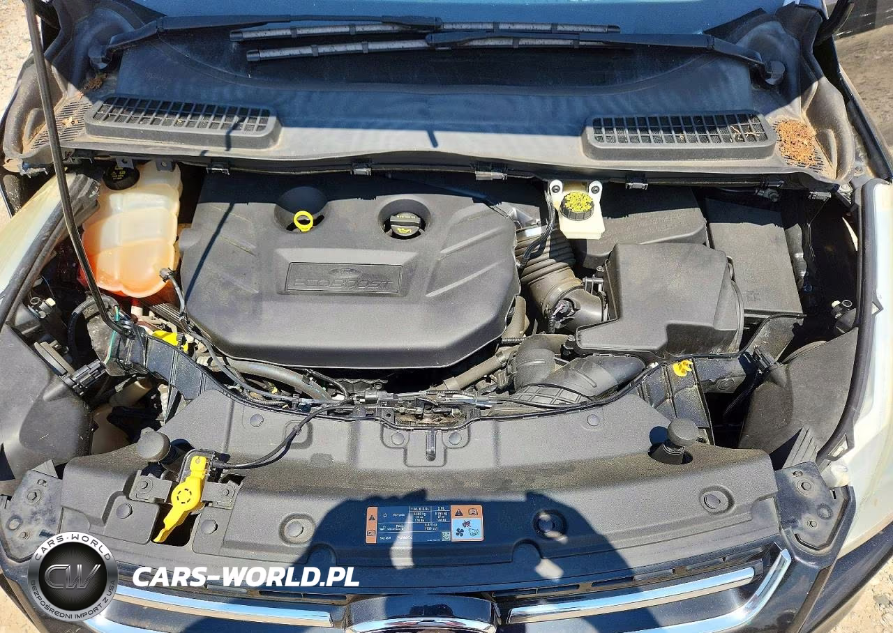 2014 Ford Escape Titanium VIN:1FMCU0J91EUD13679 - 12