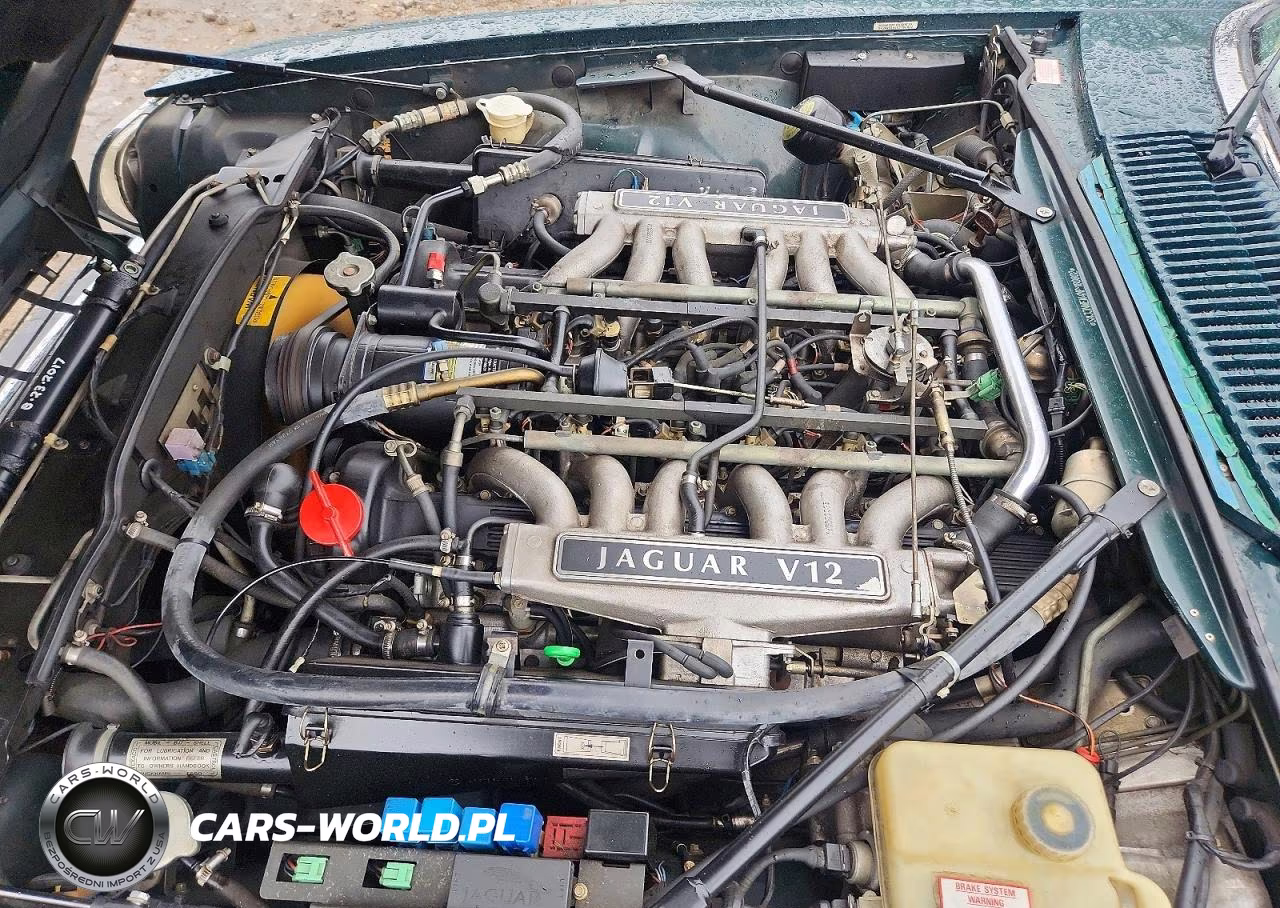 1992 Jaguar Xjs VIN:SAJNW5841NC180802 - 11