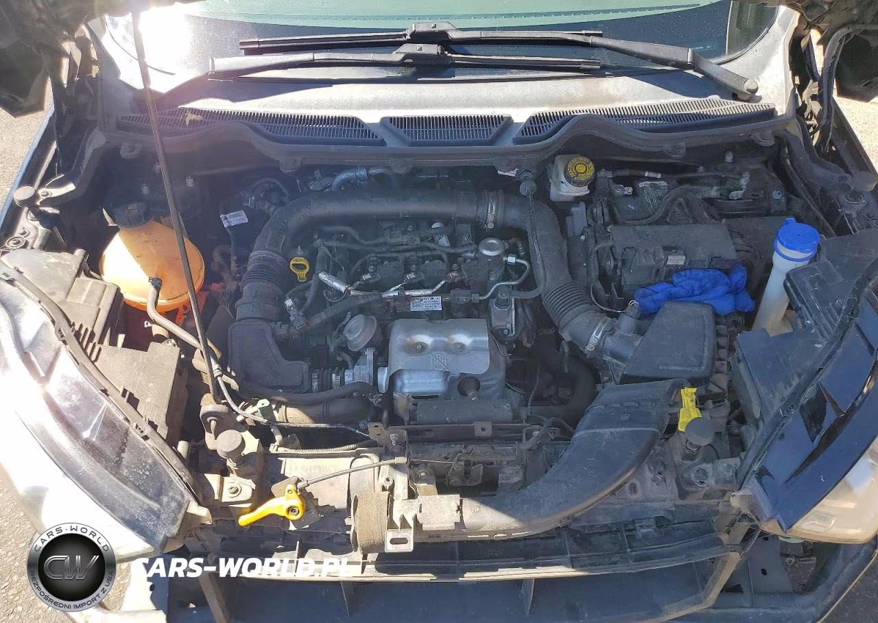 2019 Ford Ecosport Se VIN:MAJ3S2GEXKC262488 - 12