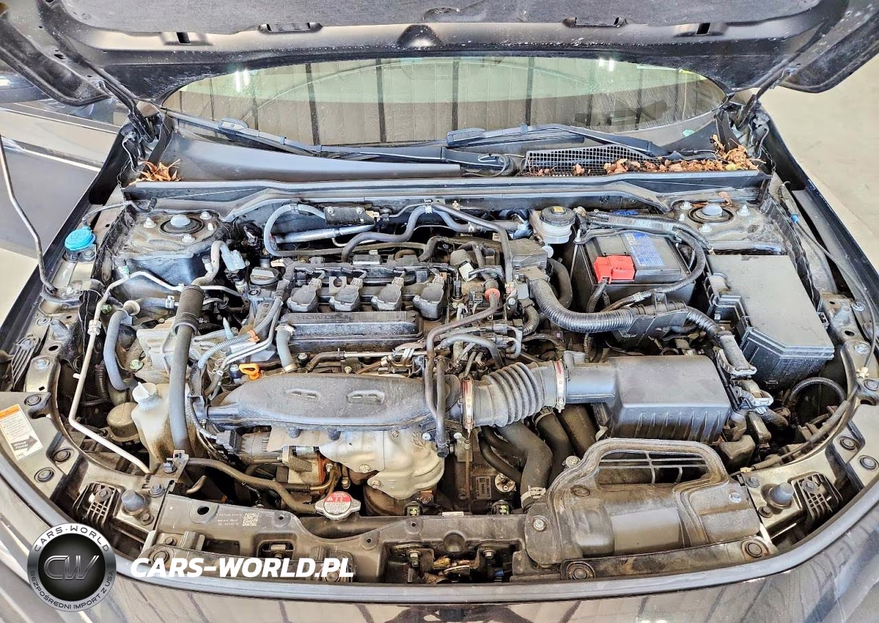 2024 Honda Civic Exl VIN:19XFL1H71RE015412 - 11