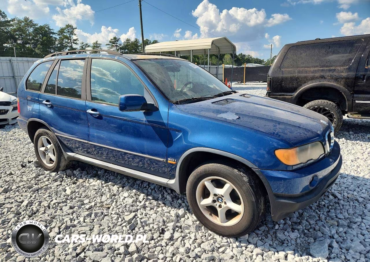 2003 BMW X5 3.0I VIN:5UXFA53563LV83736 - 4