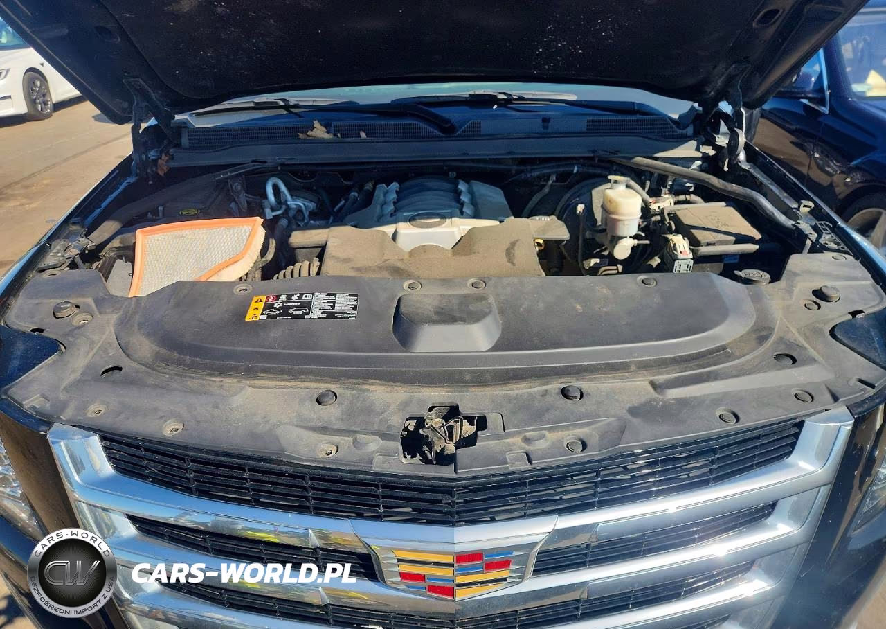 2020 Cadillac Escalade Esv Luxury VIN:1GYS4HKJ6LR180757 - 12