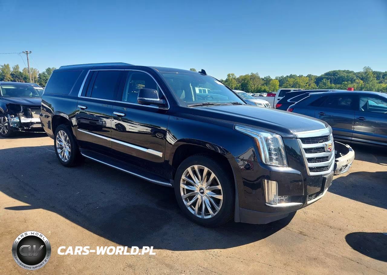 2020 Cadillac Escalade Esv Luxury VIN:1GYS4HKJ6LR180757 - 4