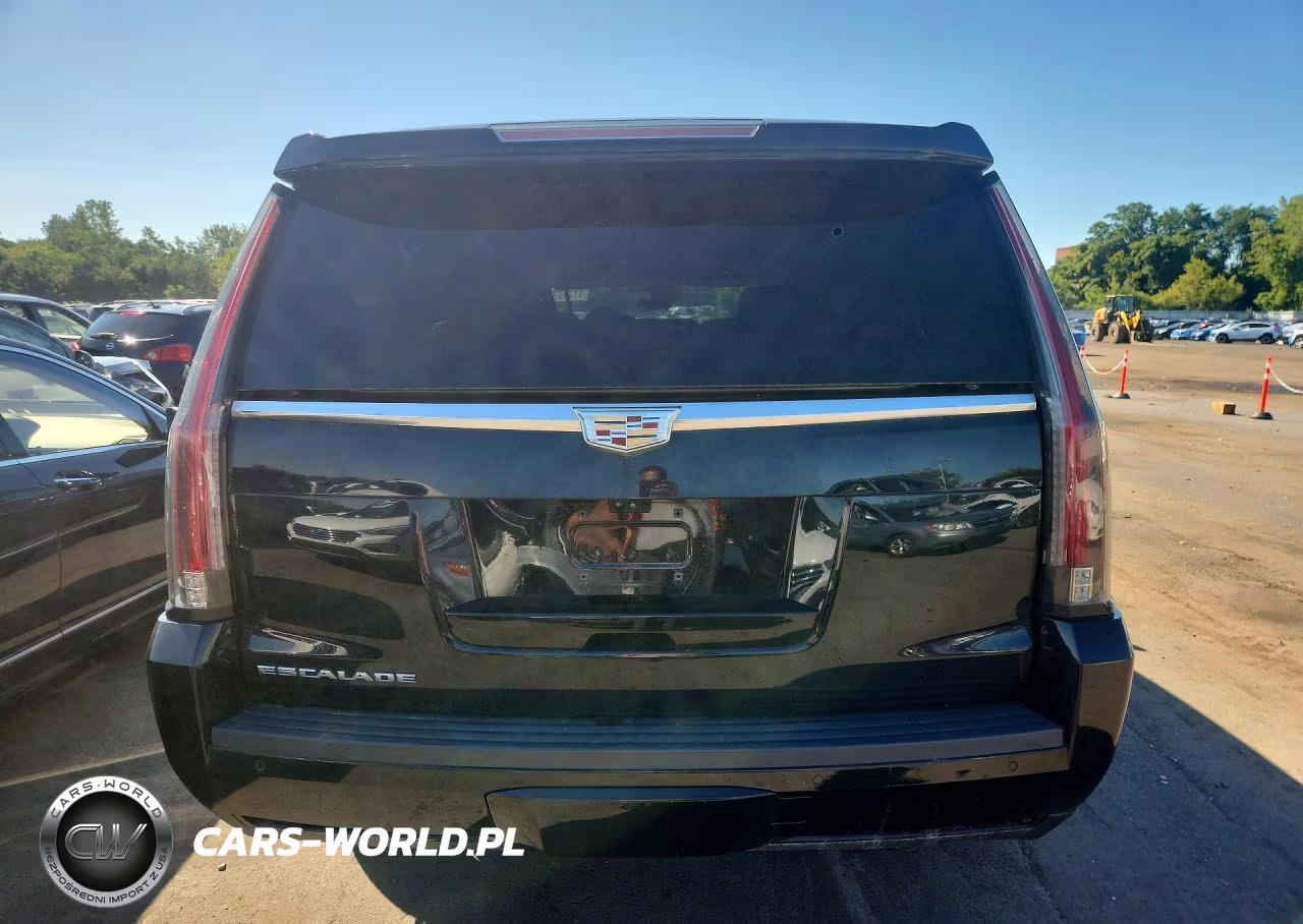 2020 Cadillac Escalade Esv Luxury VIN:1GYS4HKJ6LR180757 - 6