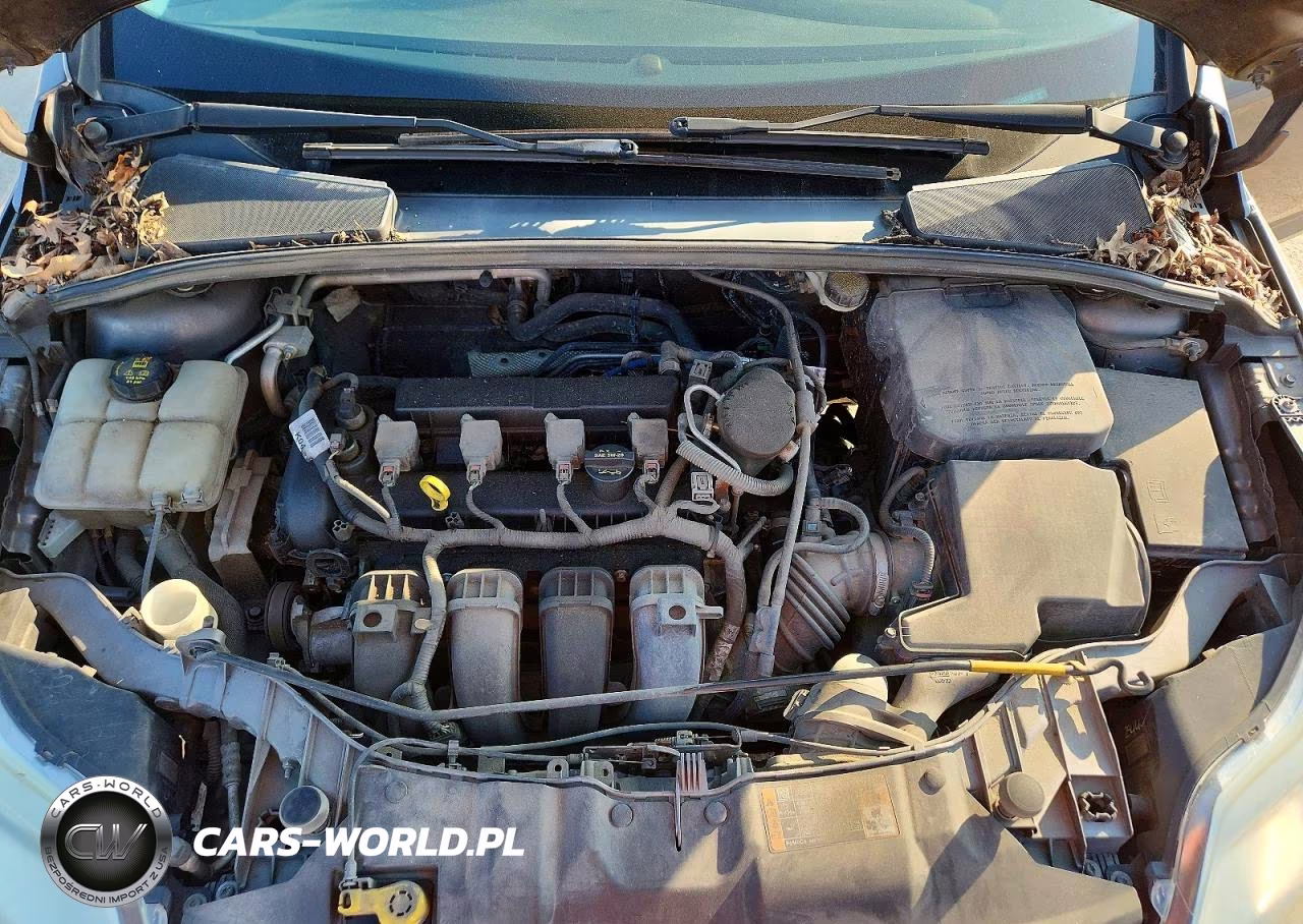 2014 Ford Focus Se VIN:1FADP3K23EL283762 - 11