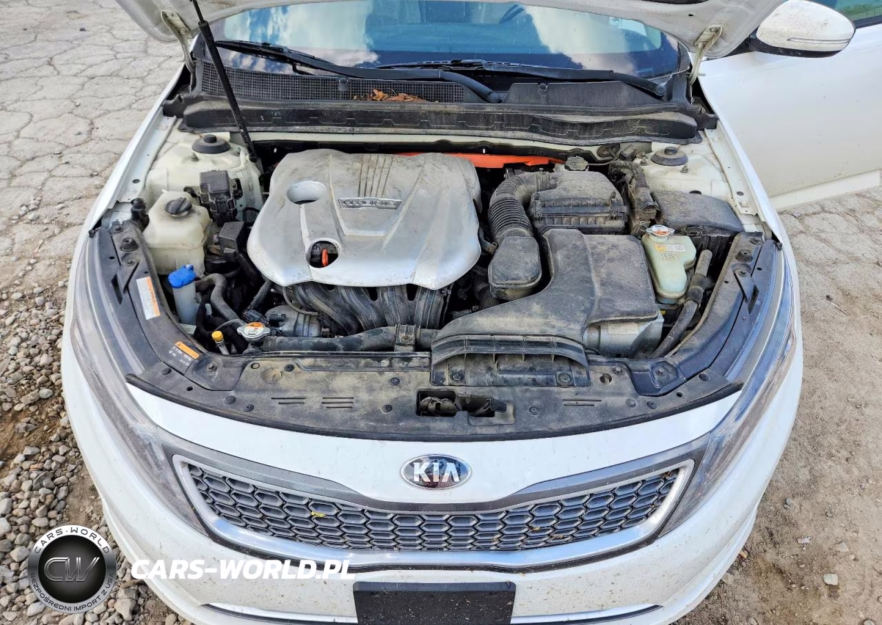 2014 Kia Optima Hybrid VIN:KNAGN4AD1E5073202 - 11