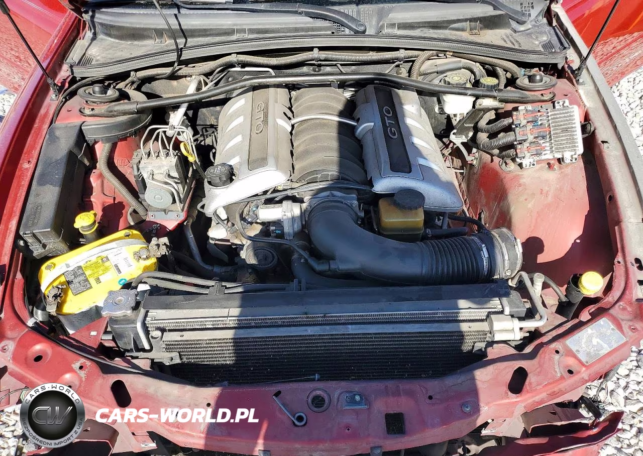 2006 Pontiac Gto VIN:6G2VX12U16L818620 - 11