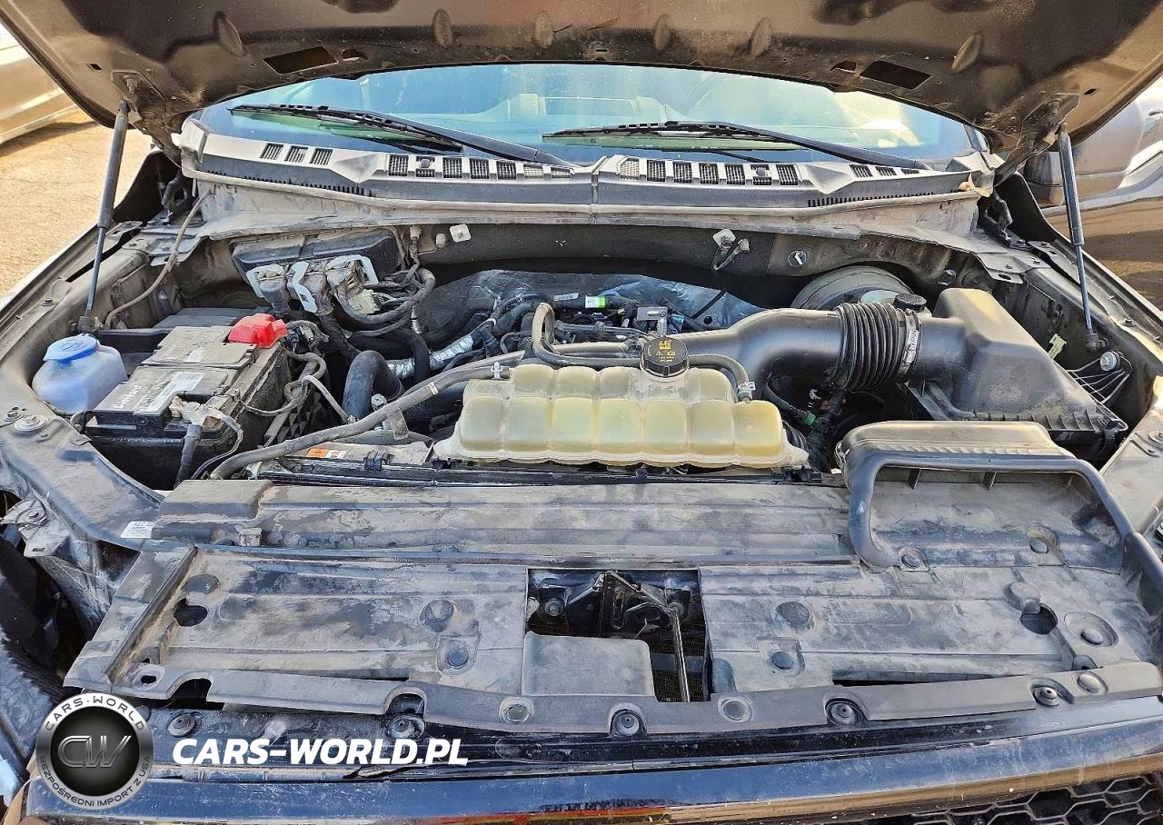 2019 Ford F150 Supercrew VIN:1FTEW1CP8KKE65216 - 11