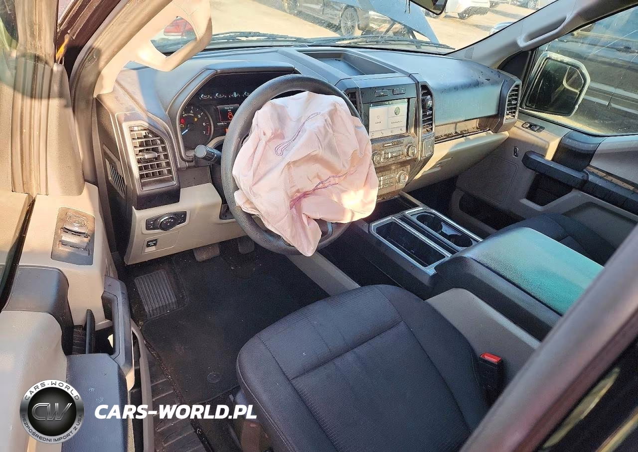 2019 Ford F150 Supercrew VIN:1FTEW1CP8KKE65216 - 8