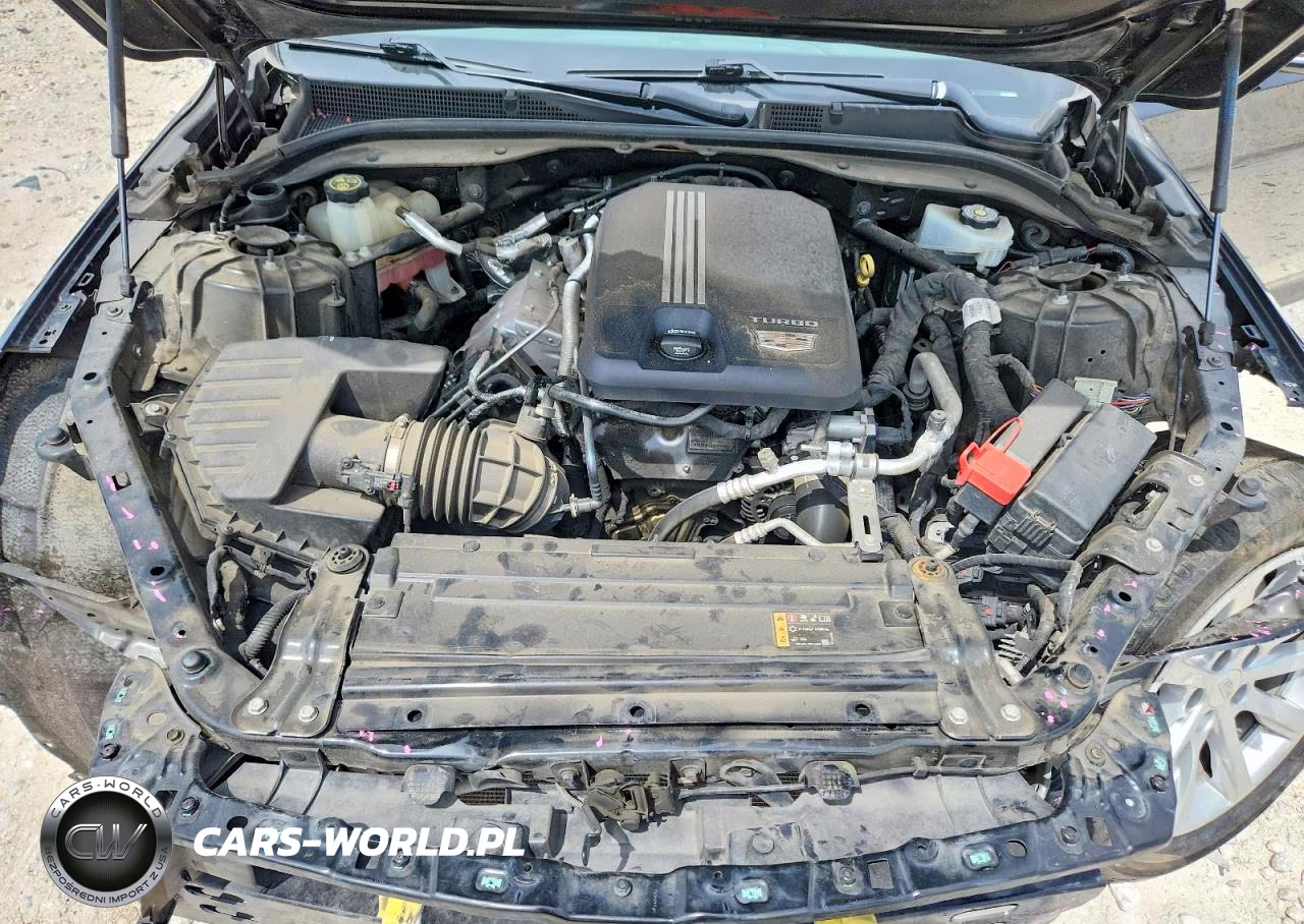 2023 Cadillac Ct5 Luxury VIN:1G6DW5RK9P0112441 - 11