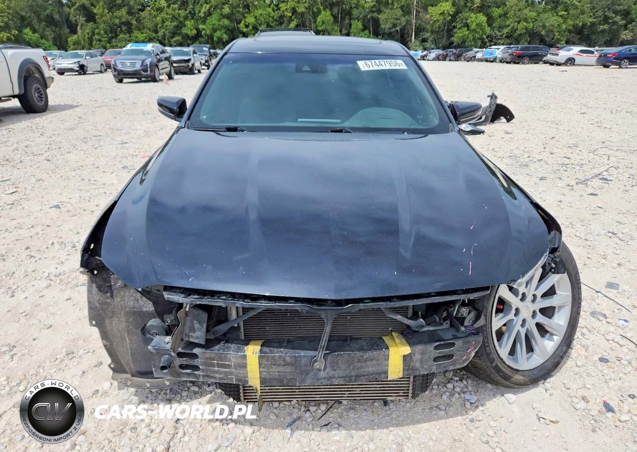 2023 Cadillac Ct5 Luxury VIN:1G6DW5RK9P0112441 - 5
