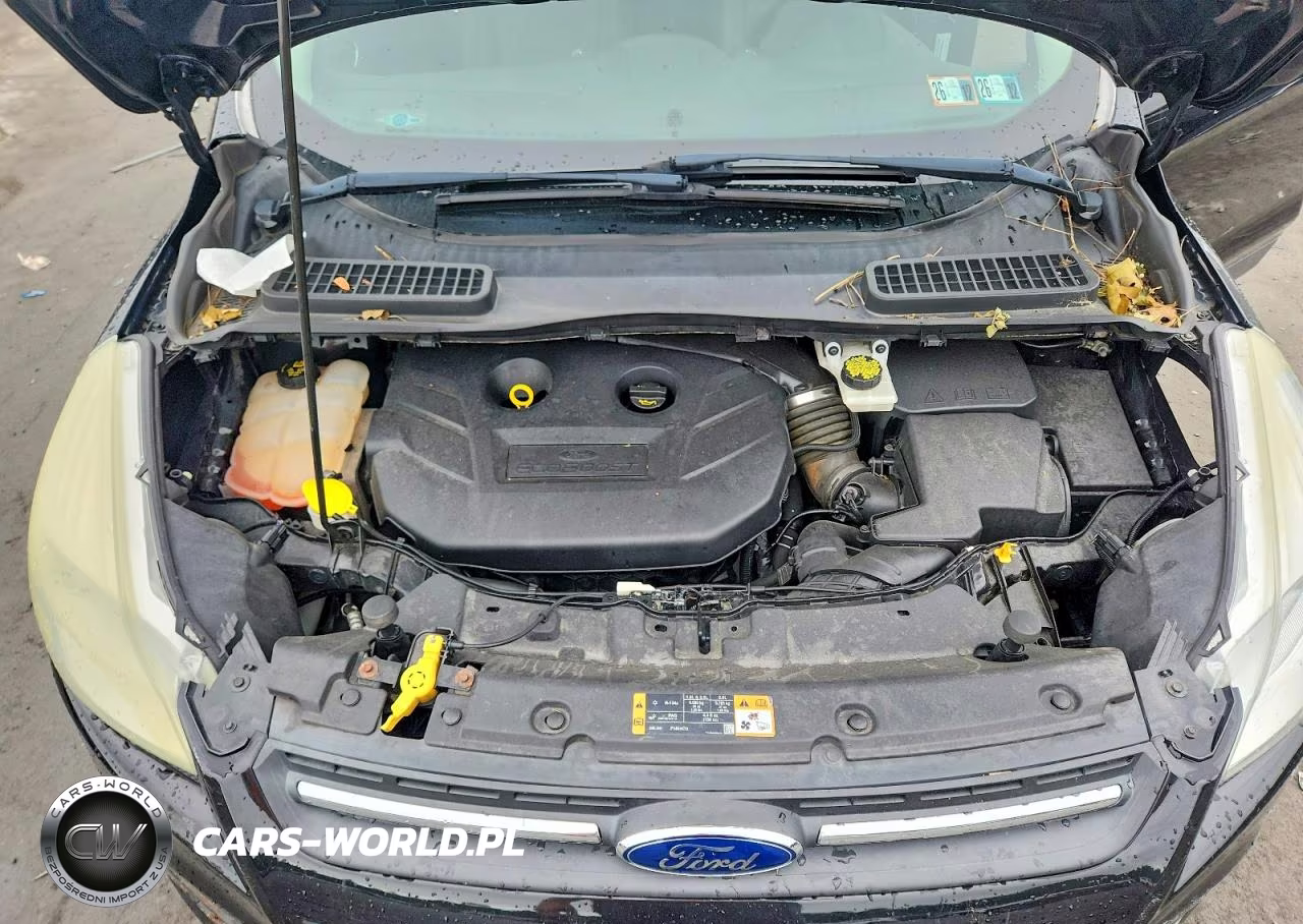 2016 Ford Escape Se VIN:1FMCU9G9XGUB02981 - 12