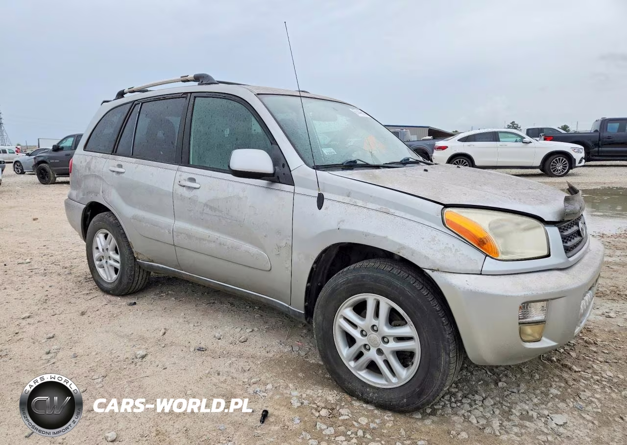 2002 Toyota Rav4 Base VIN:JTEGH20V420077094 - 4