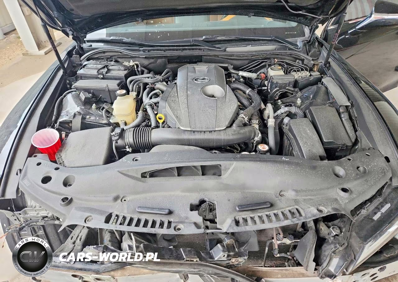 2021 Lexus Is 300 VIN:JTHCA1D29M5116557 - 11