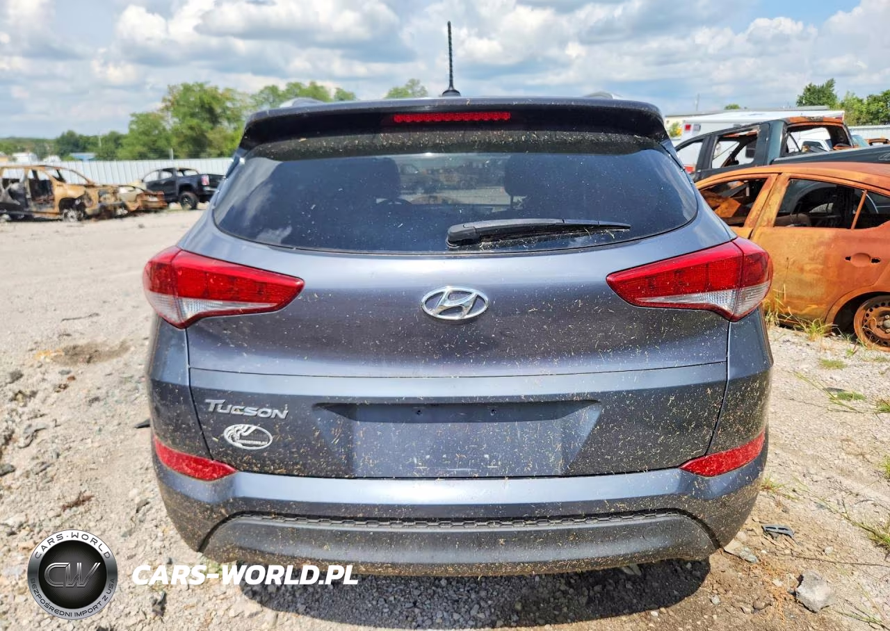 2017 Hyundai Tucson Se VIN:KM8J33A45HU253782 - 6