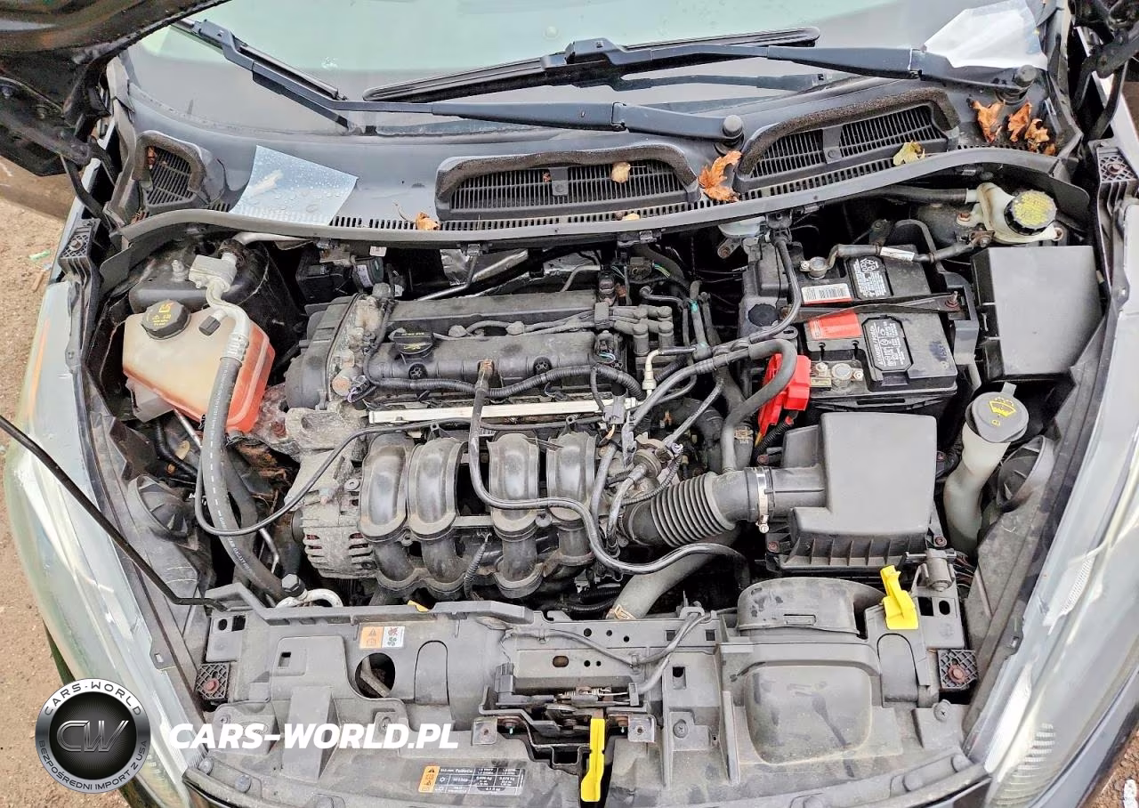 2014 Ford Fiesta Se VIN:3FADP4BJ8EM186357 - 11
