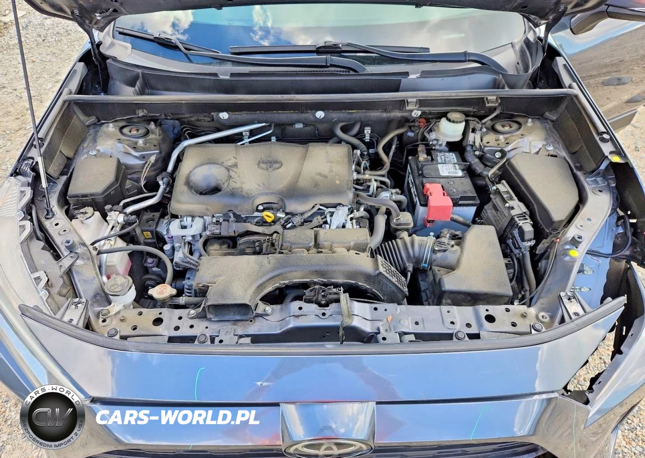 2019 Toyota Rav4 Xle VIN:JTMP1RFV3KD506629 - 12
