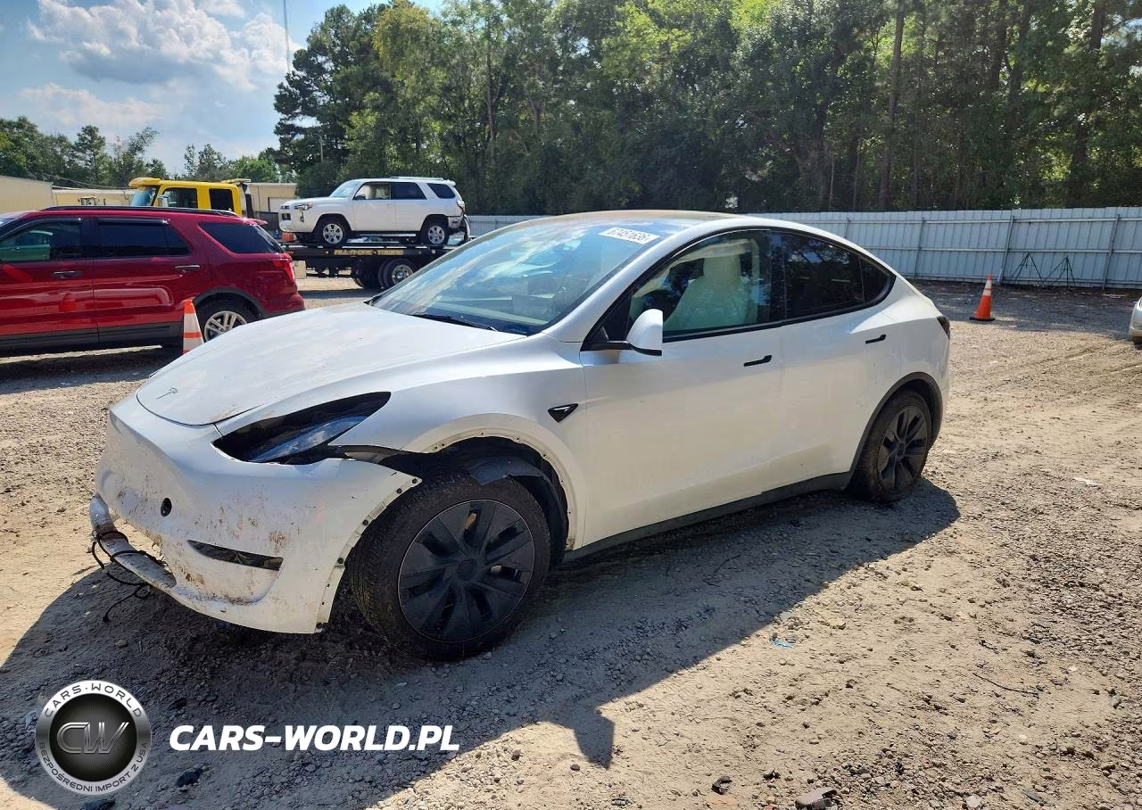 2025 Tesla Model Y VIN:7SAYGDEDXSA346286 - 1