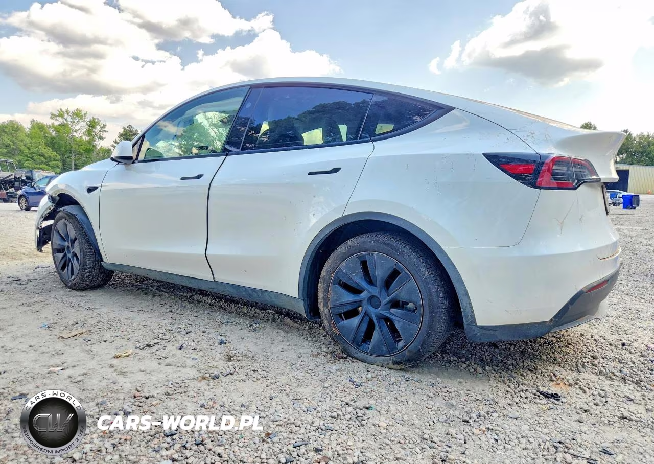 2025 Tesla Model Y VIN:7SAYGDEDXSA346286 - 2